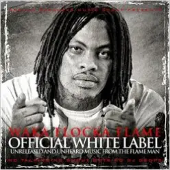 Waka Flocka Flame — Call waka