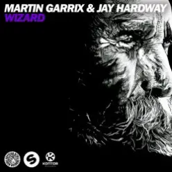 Martin Garrix & Jay Hardway — Wizard (Original Mix)