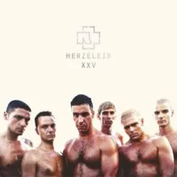 Rammstein — Amour