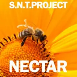 S.N.T.Project — Nectar