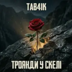 Tab4ik — Троянди у скелі