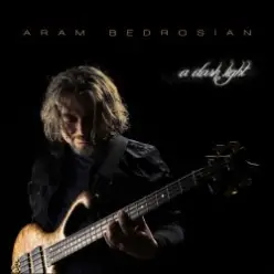 Aram Bedrosian — Fly