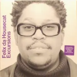 Felix Da Housecat — She's So Damn Cool