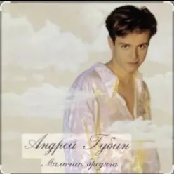 Андрей Губин — Мальчик бродяга