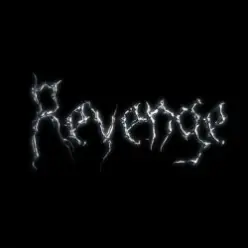 The Revenge — Every Night