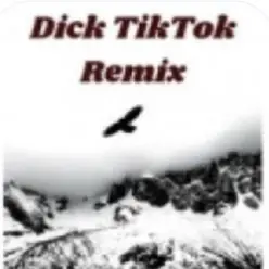 unknown — Тык дык тыг дык шабаман Байден Байден Байден (tik tok)