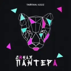 Тайпан feat. IL'GIZ — Дикая Пантера