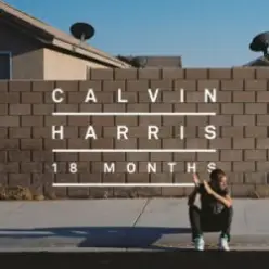 Calvin Harris & Example — We'll Be Coming Back (Dj Dark & Huge Carter Remix)