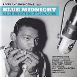 Raoul and The Big Time — Just Your Fool (Tortoise Blue)