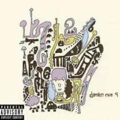 Damien Rice — Older Chests