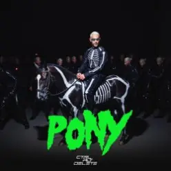 Don Diablo feat. Control Alt Delete — Pony