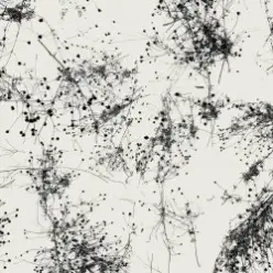 Taylor Deupree — Everything's Gone Grey