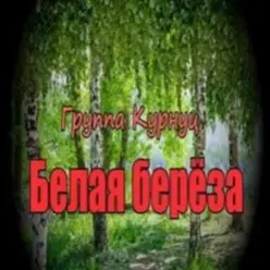 группа Курнуц — Белая береза