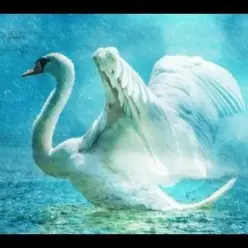 Lacross — Save Me (Swan Lake)