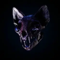 Darci — Wild Horse
