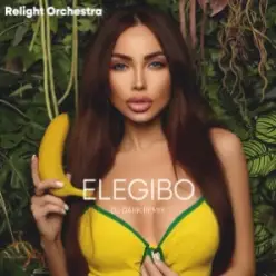 Relight Orchestra — Elegibo (Dj Dark Remix)
