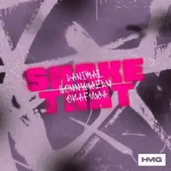 Danimal & Sonny Wern — Shake That