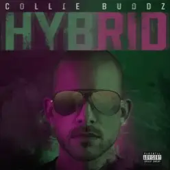 Hybrid — Break My Soul