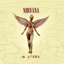 Nirvana — Rape Me