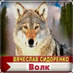 Вячеслав Сидоренко — Волк