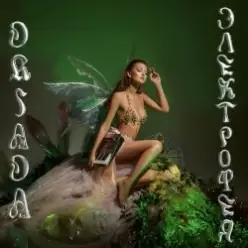 DRIADA — Detali