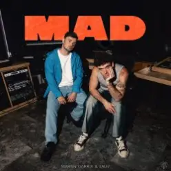 Martin Garrix & Lauv — MAD