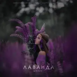 Шалих — Лаванда