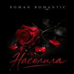 ROMAN ROMANTIC — Насолила