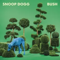 Snoop Dogg — California Roll (feat. Stevie Wonder)