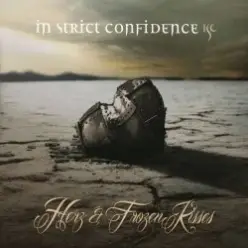 In Strict Confidence — The Darkside