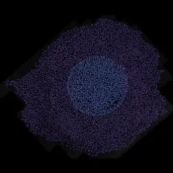 Floating Points — Danger