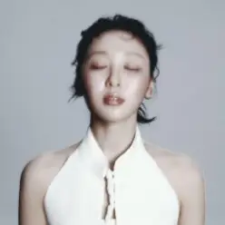 Yves — DIM