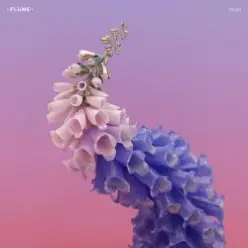 Flume Feat. Kai — Never Be Like You