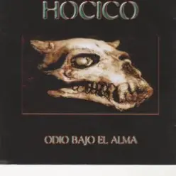 Hocico — Silent Crow