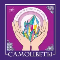 ВИА САМОЦВЕТЫ — По морозу, по зиме